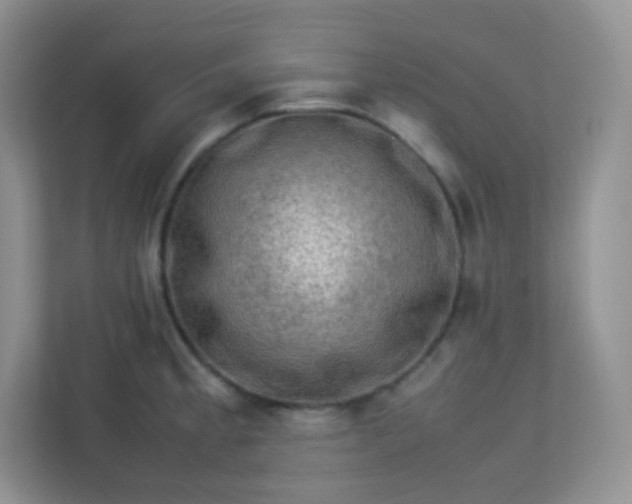 X0000113311189200909281118