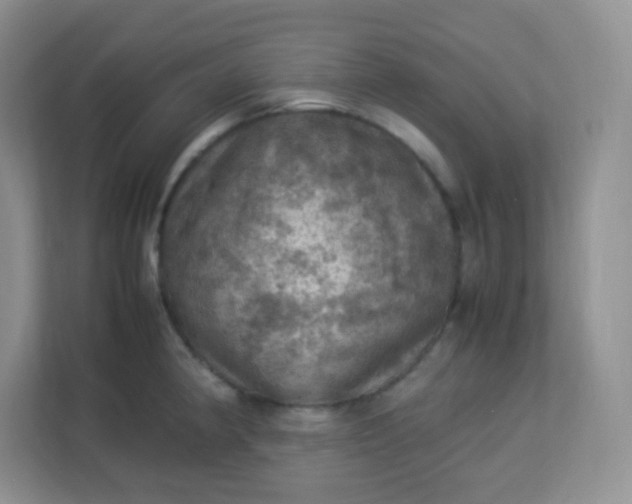 X0000113311190200909281118