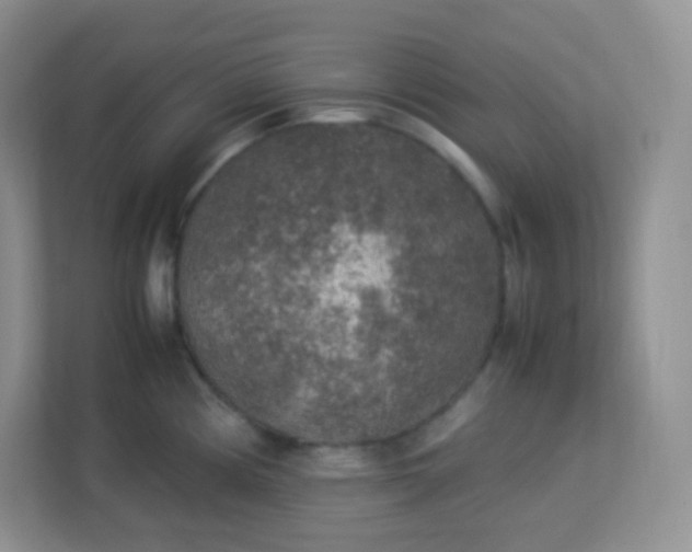 X0000113311194200909281118