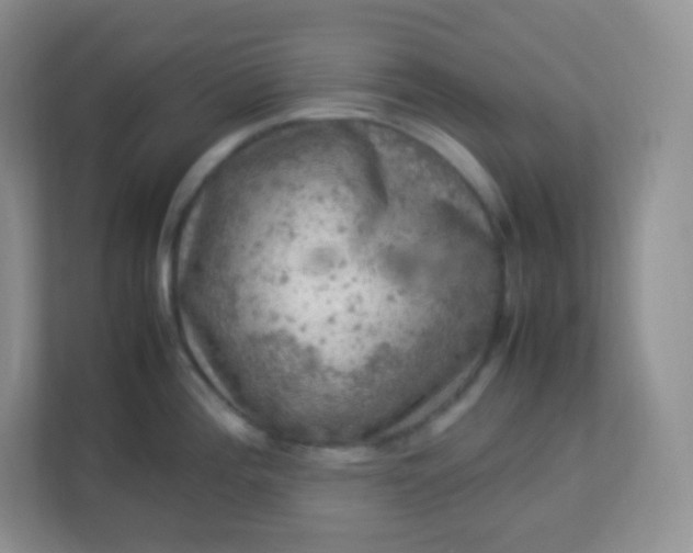 X0000113311196200909281118