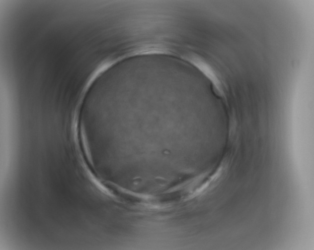 X0000113311197200909281118