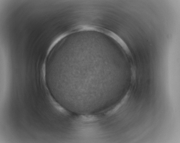 X0000113311198200909281118