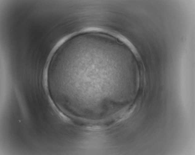 X0000113311199200909281118