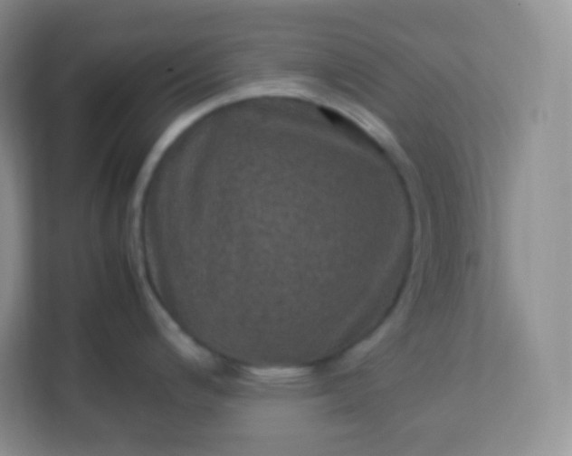 X0000113311200200909281118