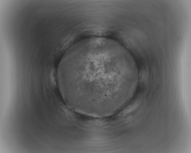 X0000113311202200909281117