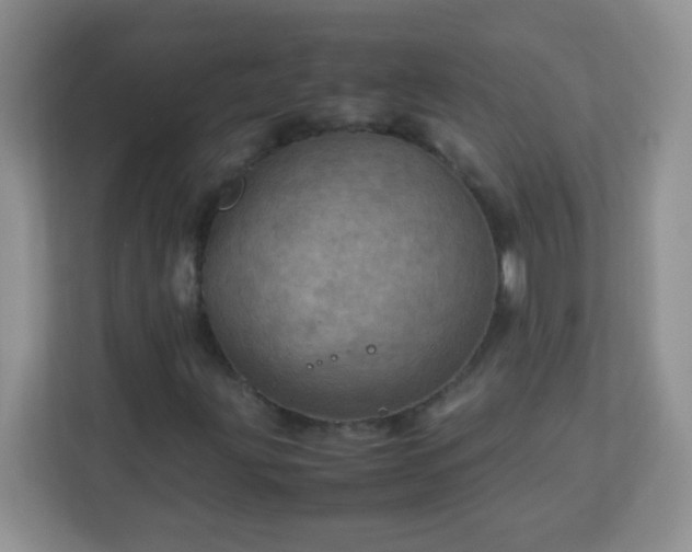 X0000113311203200909281117