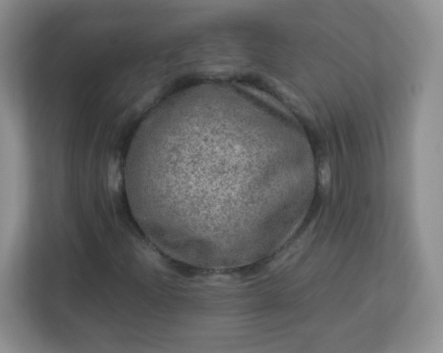 X0000113311204200909281117