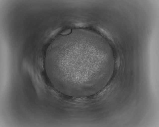 X0000113311205200909281117