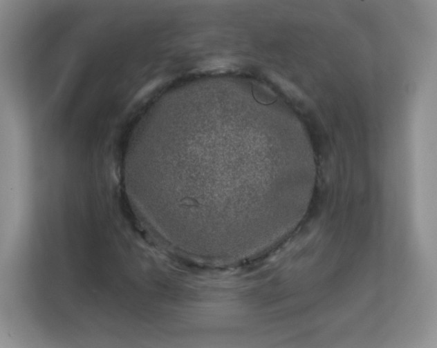 X0000113311206200909281118