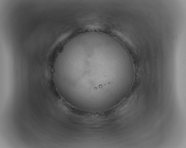 X0000113311207200909281118