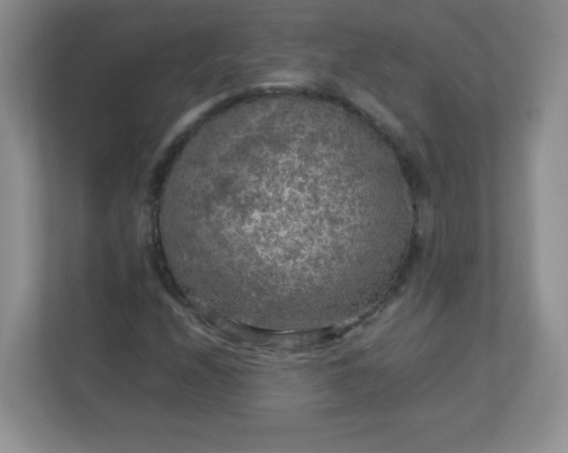 X0000113311208200909281118