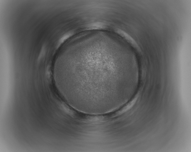 X0000113311210200909281118