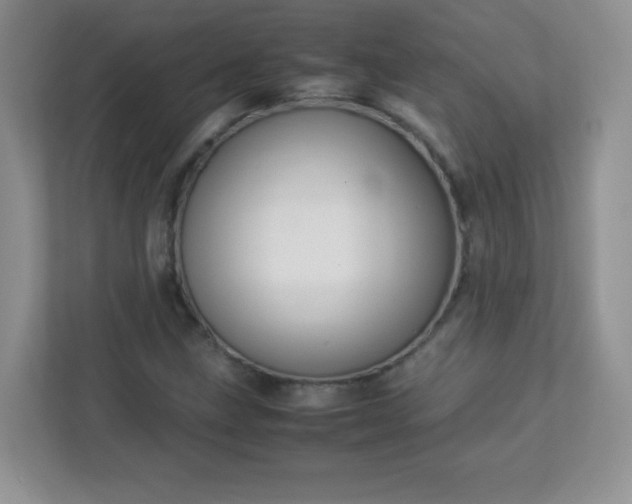 X0000113311211200909281118