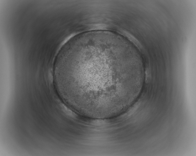 X0000113311212200909281118