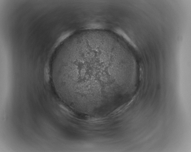 X0000113311213200909281118