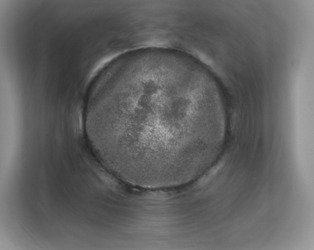 X0000113311214200909281118