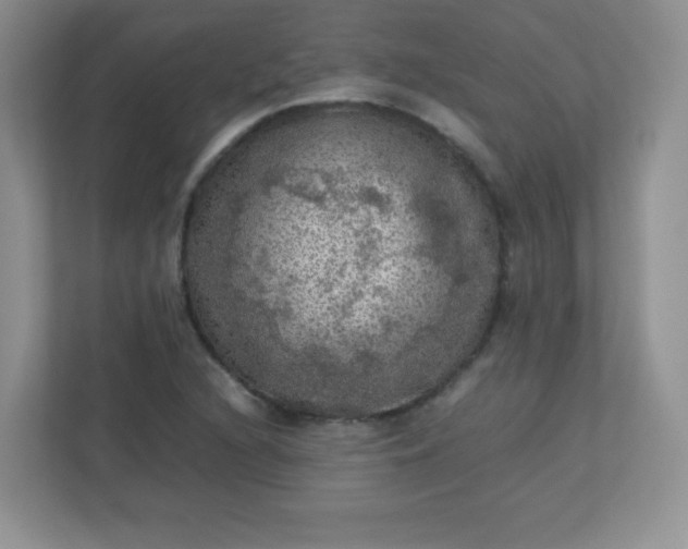 X0000113311216200909281118