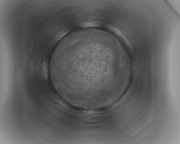 X0000113311217200909281118