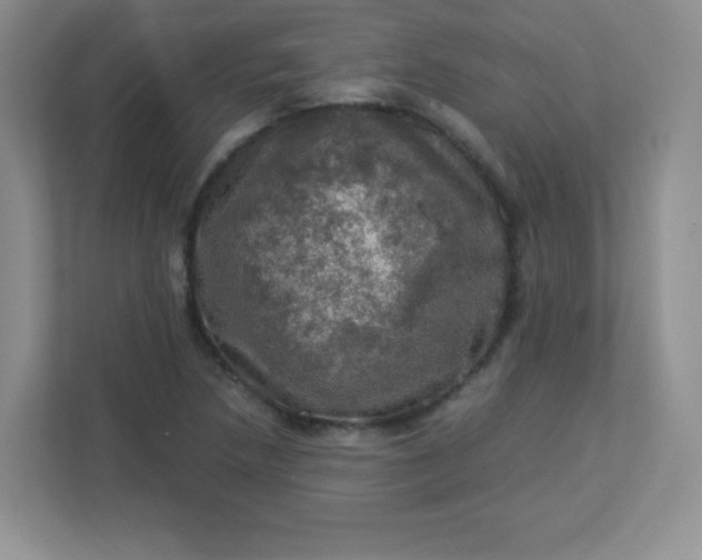 X0000113311218200909281118