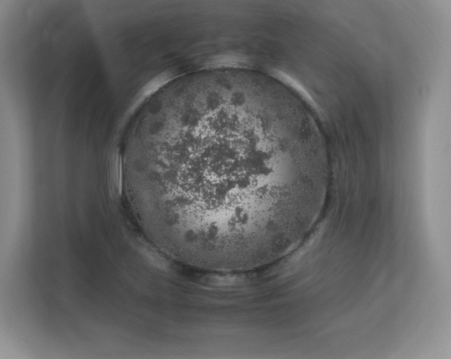 X0000113311219200909281118