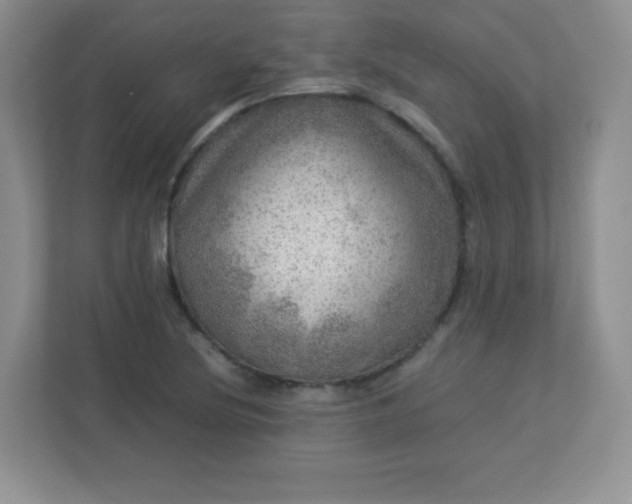 X0000113311220200909281118