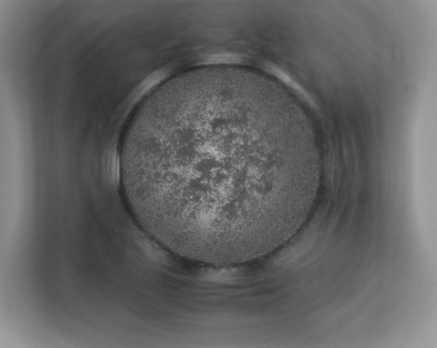 X0000113311221200909281118