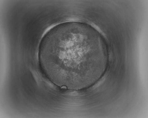 X0000113311222200909281118