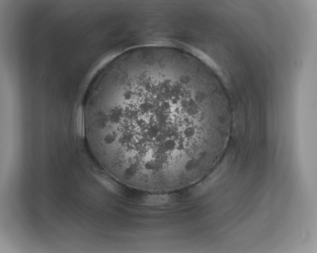 X0000113311223200909281118