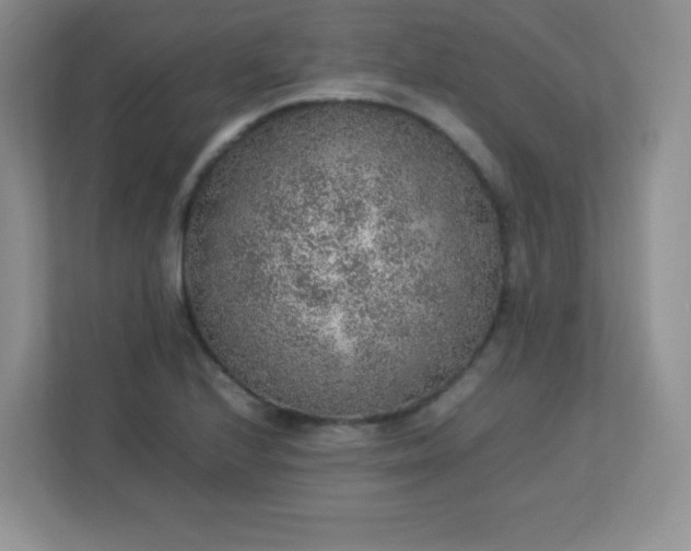 X0000113311224200909281118