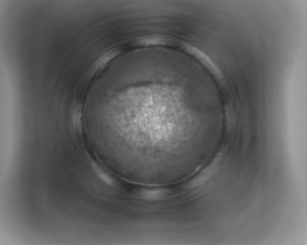 X0000113311225200909281118