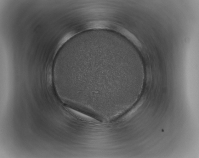 X0000113311226200909281118