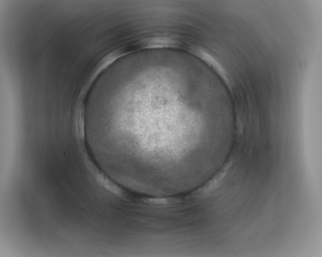 X0000113311227200909281118