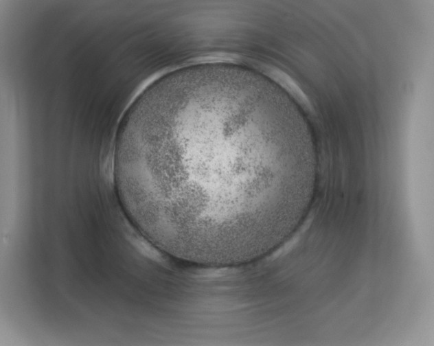 X0000113311228200909281118