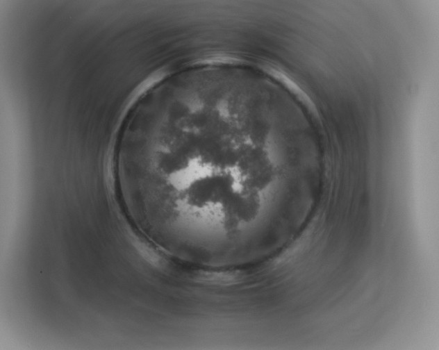 X0000113311229200909281118