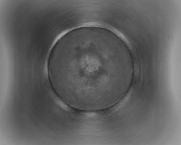 X0000113311230200909281118