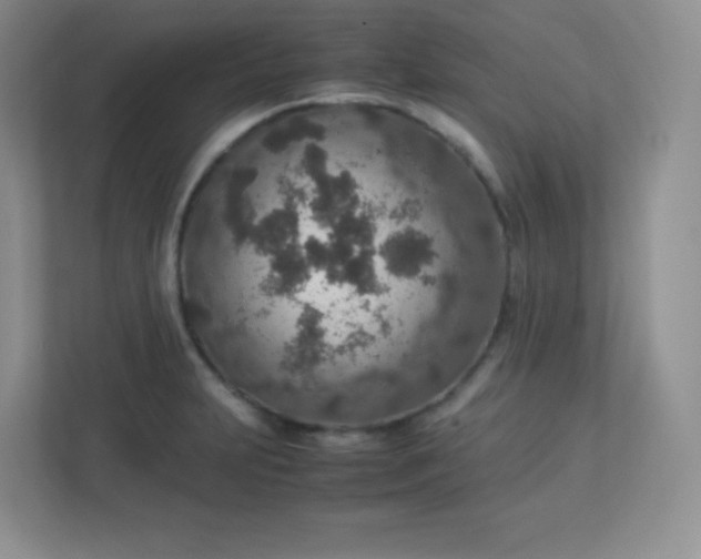 X0000113311231200909281118