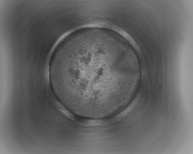 X0000113311232200909281118