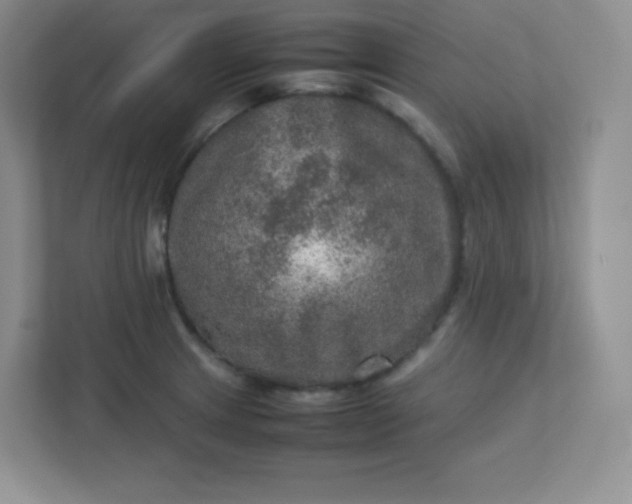 X0000113311233200909281118