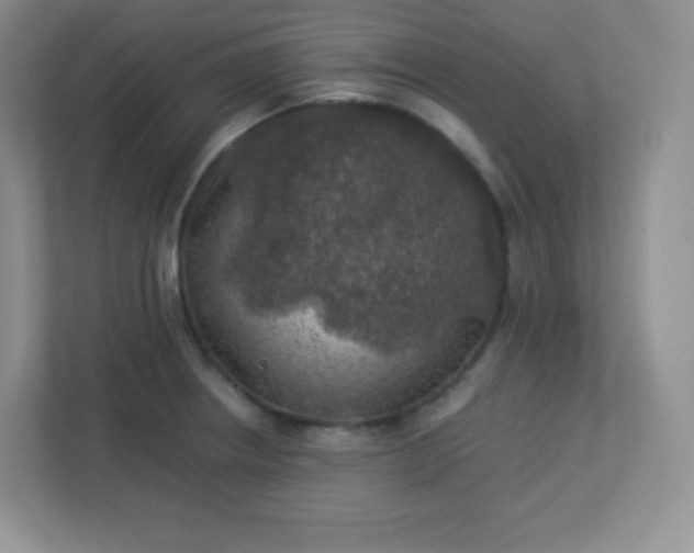 X0000113311234200909281118