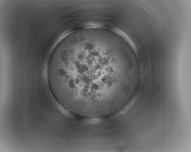 X0000113311235200909281118