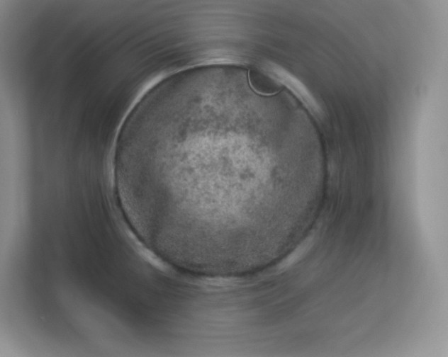 X0000113311236200909281118