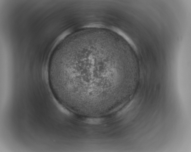 X0000113311237200909281118