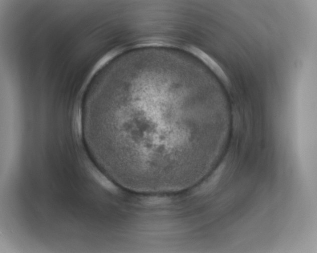 X0000113311238200909281118