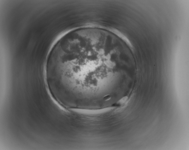 X0000113311239200909281118