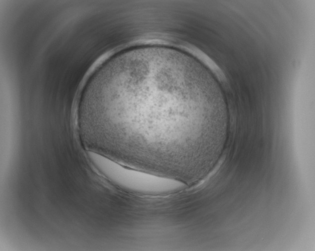 X0000113311240200909281118