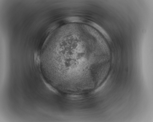 X0000113311241200909281118