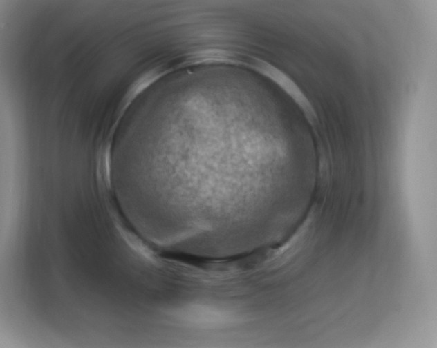 X0000113311242200909281118