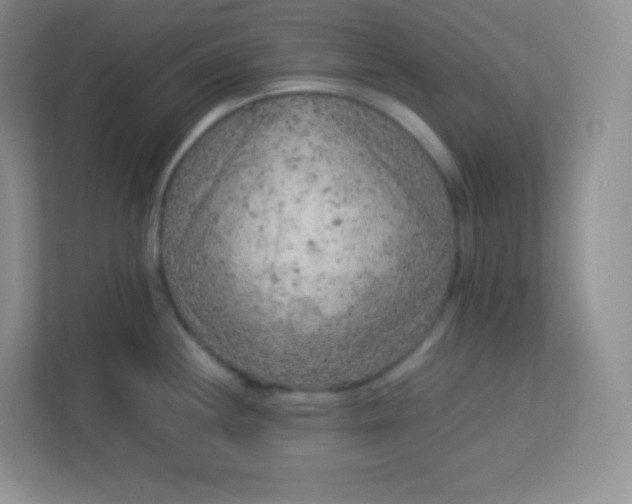 X0000113311244200909281118