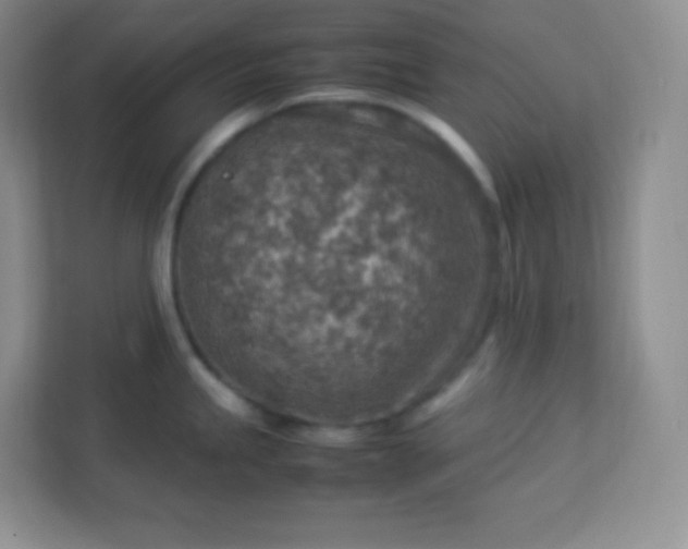 X0000113311245200909281118