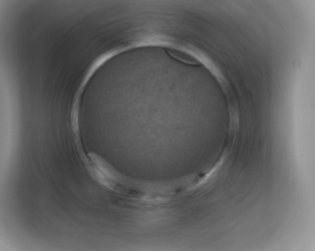 X0000113311246200909281118